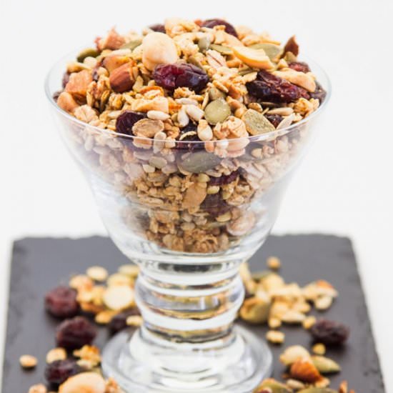 Homemade Orange Cranberry Granola