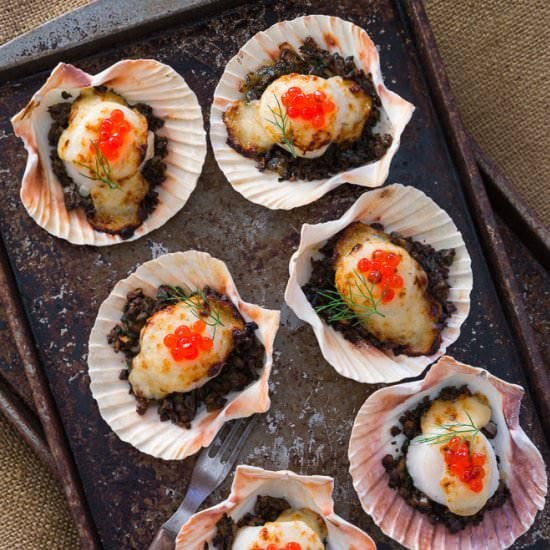 Coquilles Saint-Jacques