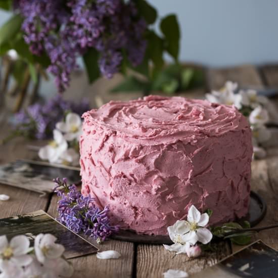 Chocolate Raspberry Cake