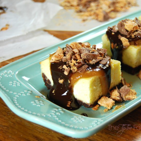 Peanut Butter Lover Cheesecake Bars