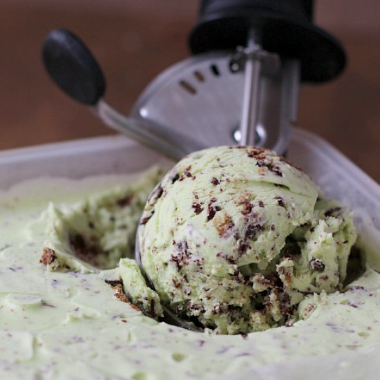 Thin Mint Chocolate Chip Ice Cream