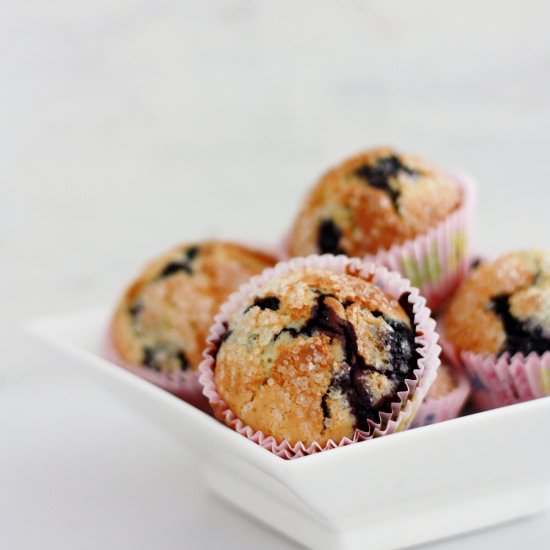 Blueberry Muffins