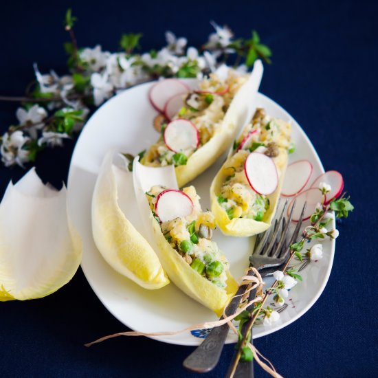 Chicory Salad Cups