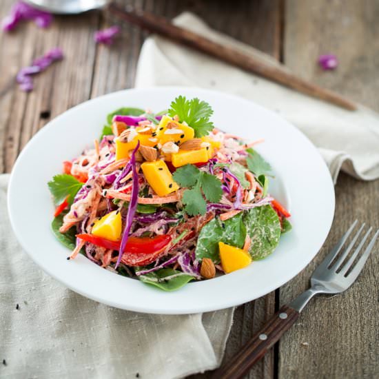 Rainbow Kelp Noodle Salad