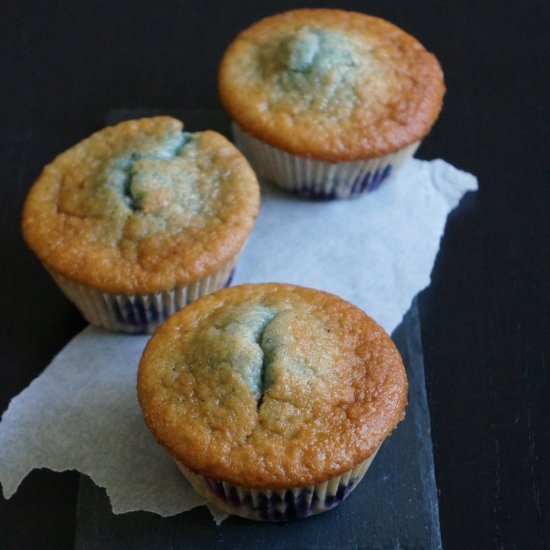 Blueberry Muffins