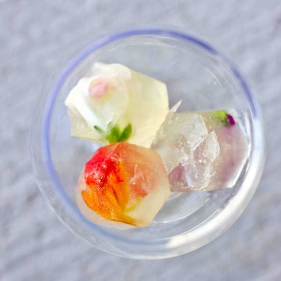 Floral Wine Ice