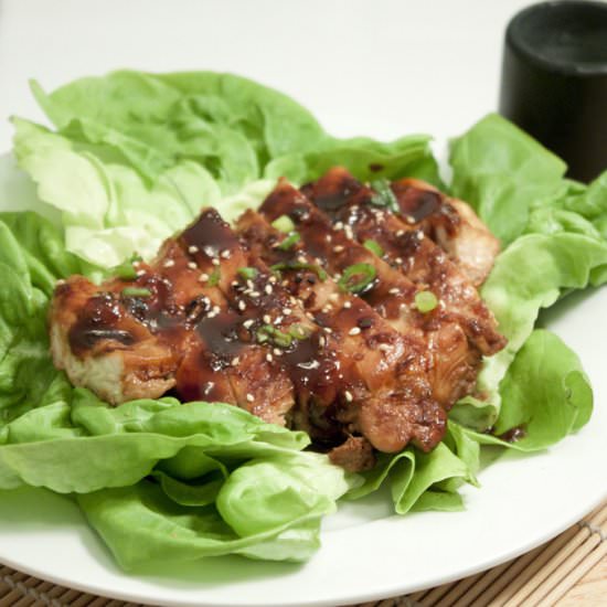 Fast and Easy Teriyaki Chicken