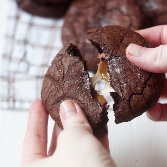 Double Chocolate Chip Cookies