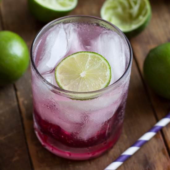 Blackberry-Lime Gin Fizz