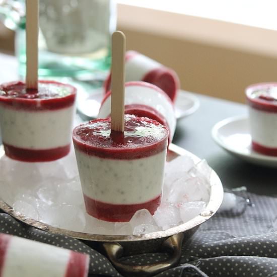 Raspberry Coconut Chia Ice Pops