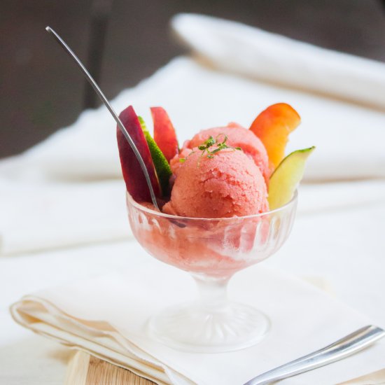 Peach Daiquiri Sorbet