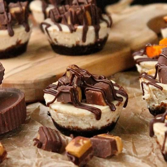 Peanut Butter Cup Cheesecakes