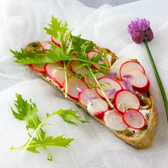 Pickled Radish Tartines