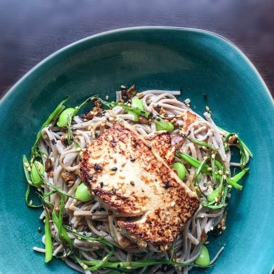 Spring Clean Soba Noodles and Tofu