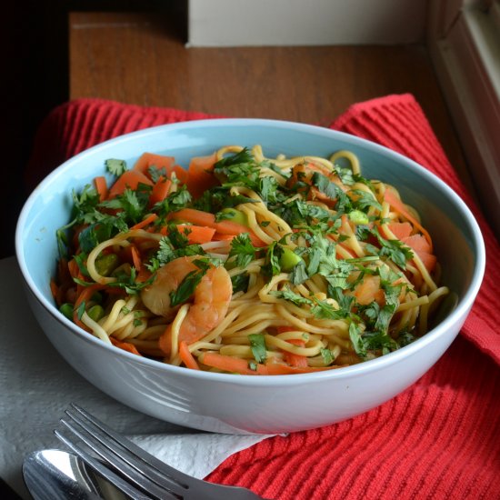 Spicy Asian Shrimp Noodle Soup