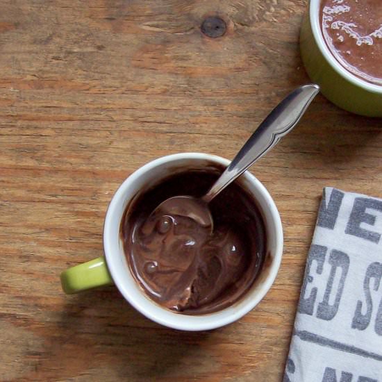 Easy Dairy Free Chocolate Ice Cream