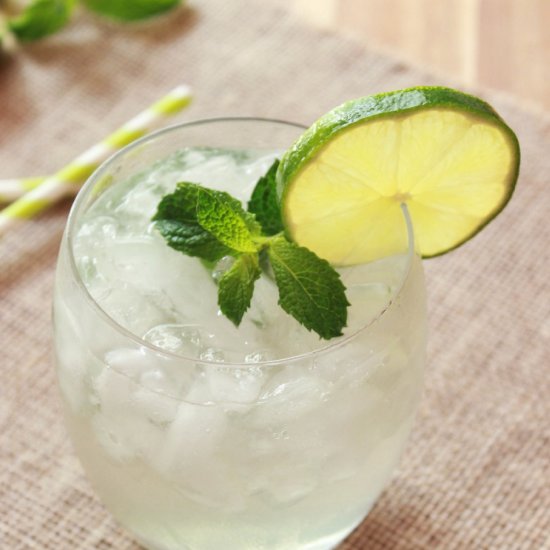 Skinny Mint Mojito