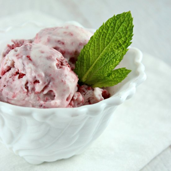 Strawberry Mint Ice Cream