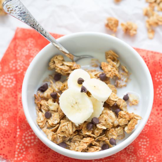 4-Ingredient Peanut Butter Granola