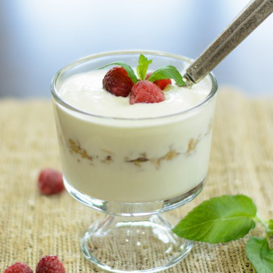 Homemade Organic Yogurt