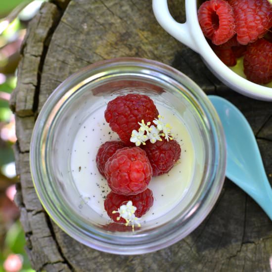 Vanilla Bean Panna Cotta