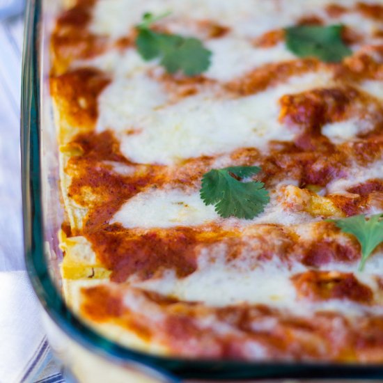 Black Bean & Quinoa Enchiladas