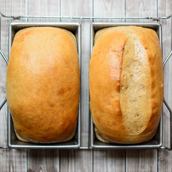 Honey Wheat Sandwich Bread