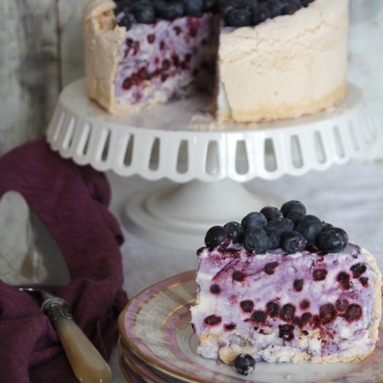 Blueberry Ice Cream Cake