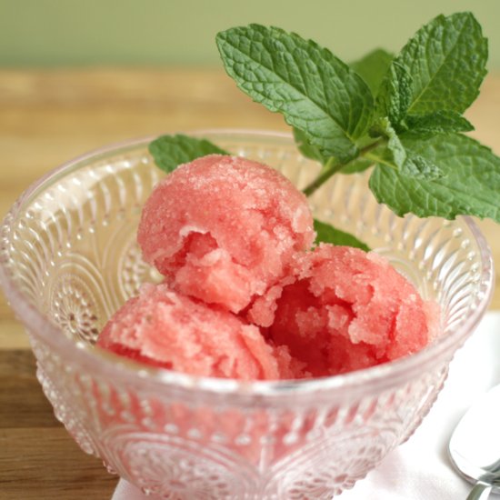 Fresh Watermelon & Mint Sorbet