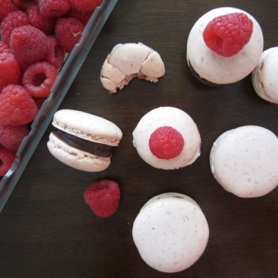 Raspberry Macarons