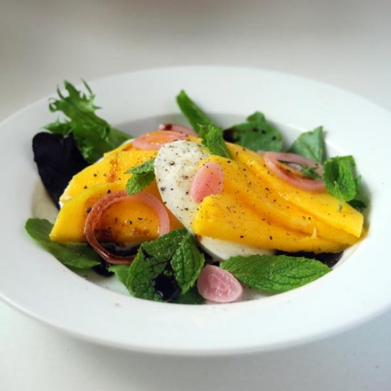 Mango, Mozzarella & Mint Salad