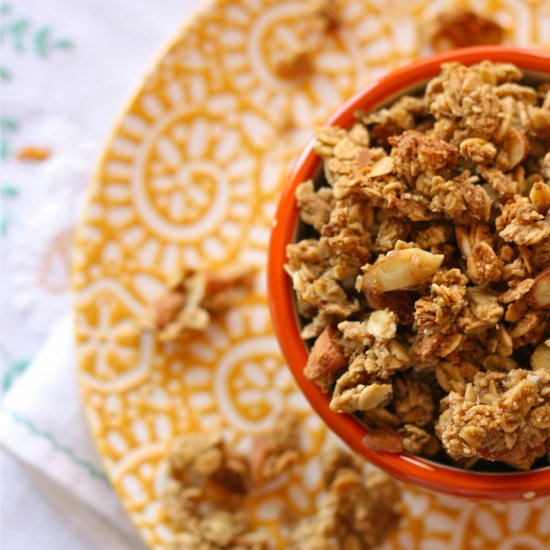 Apple Cinnamon Oat Clusters