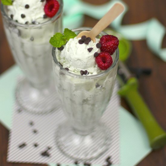 Guilt-Free Mint Chip Ice Cream