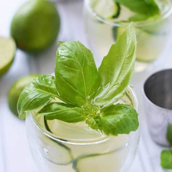 Cucumber Basil Gin and Tonic