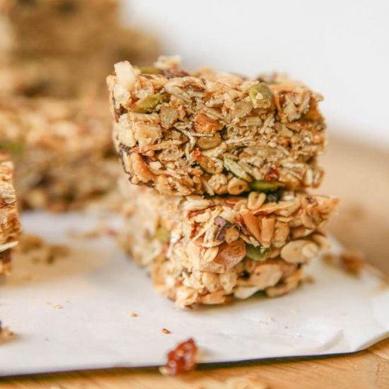 Fruit and Nut Granola Bars