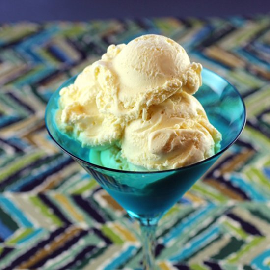 Bi-Rite Vanilla Ice Cream