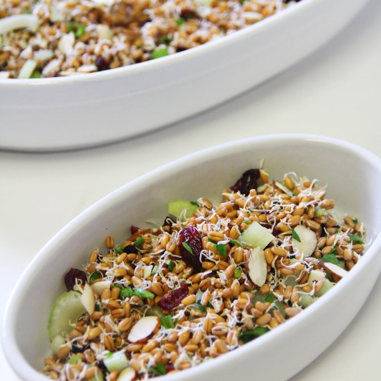 Sprouted Wheatberry Salad