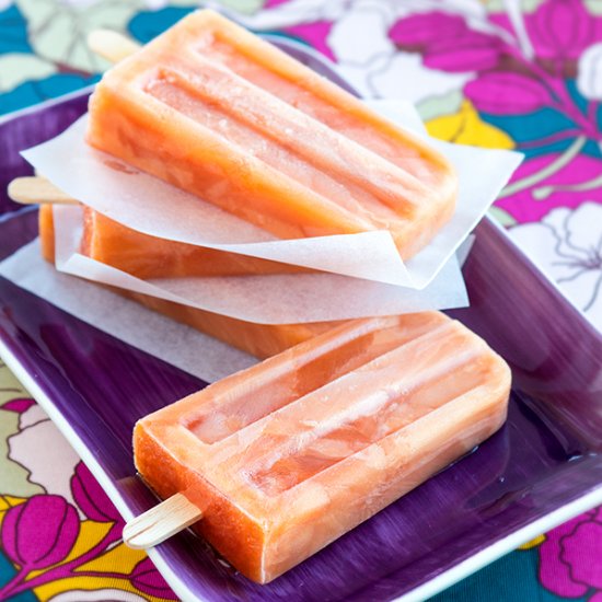 Orange and Cranberry Ice Popsicles