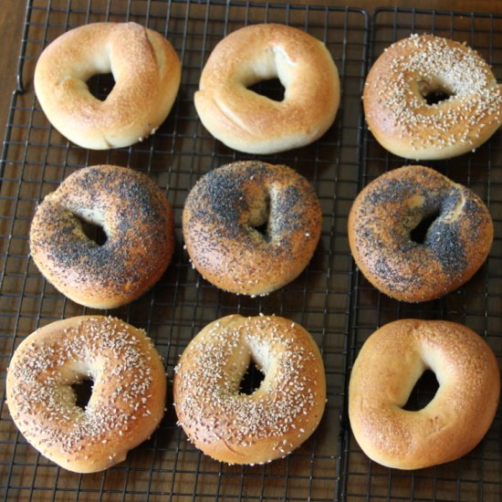 NY Style Wild Sourdough Bagels