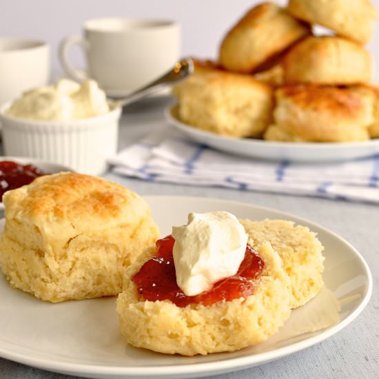 3 Ingredient Scones from Scratch