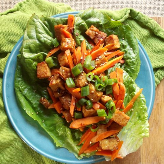 Ginger Sesame Tempeh Lettuce Wraps