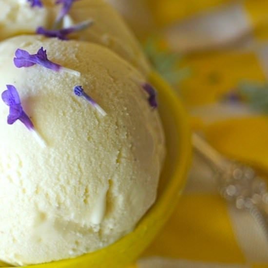 Lemon-Lavender Frozen Custard