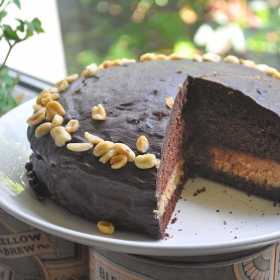 Simple Chocolate Peanut Butter Cake