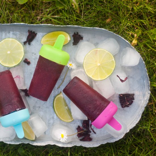 Hibiscus popsicles