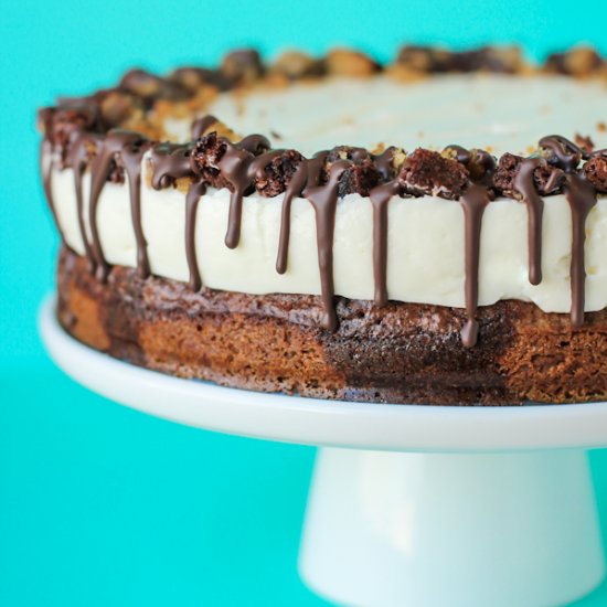 Brookie Cheesecake