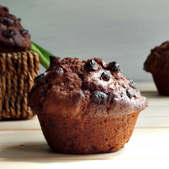 Double Chocolate Chip Muffins