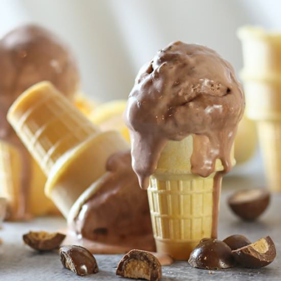 Chocolate Malted Crunch Ice Cream