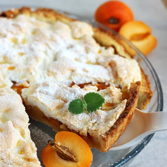 Apricot Pie with Meringue