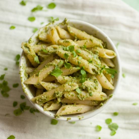 CHICKWEED PESTO