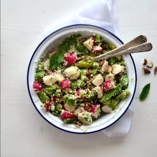 Fava Bean Radish Salad